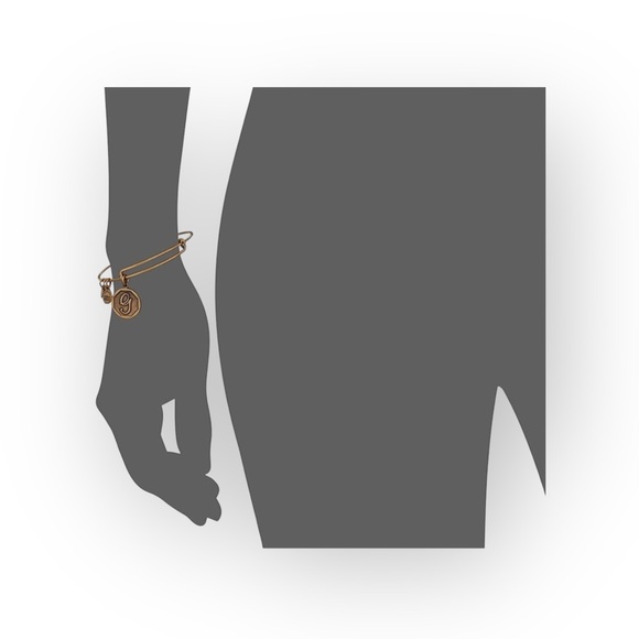 new Alex and Ani ꥟ Mini Script Initial "G" Wire Bangle Bracelet ꥟ Rafaelian Gold - Picture 11 of 13